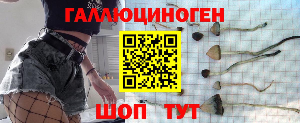 Псилоцибиновые грибы Psilocybine cubensis  Вход с VPN  продажа наркотиков  Галлюциногенные грибы MAGIC MUSHROOMS  Саров 